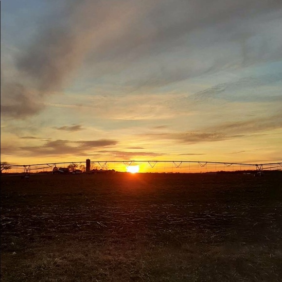 Meet your Posher, Megan - Picture 1 of 1